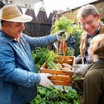 Jak wybierać produkty spożywcze z lokalnych upraw?